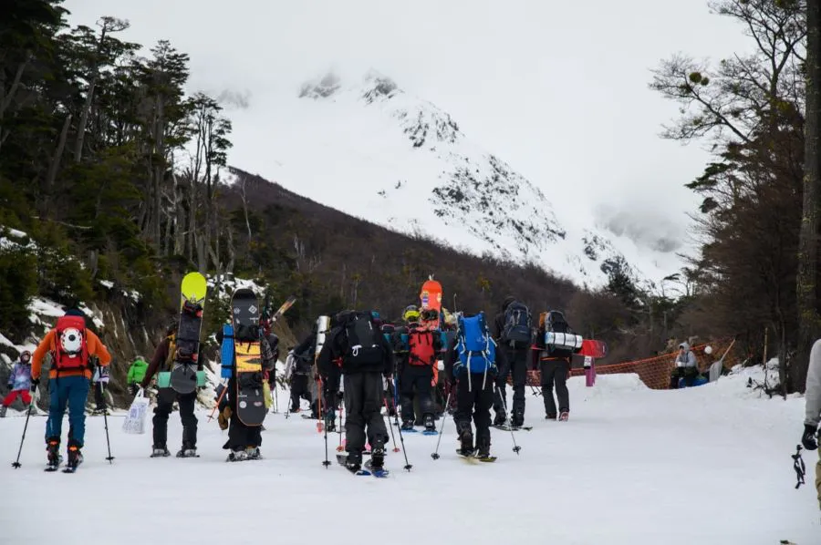 photo_4947719651622760089_y