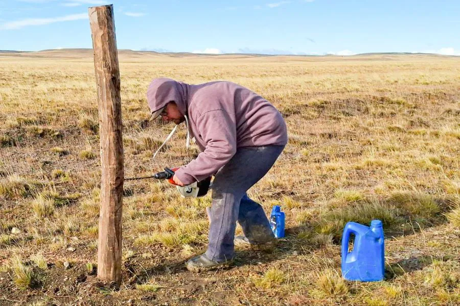 photo_5139156870970322400_y