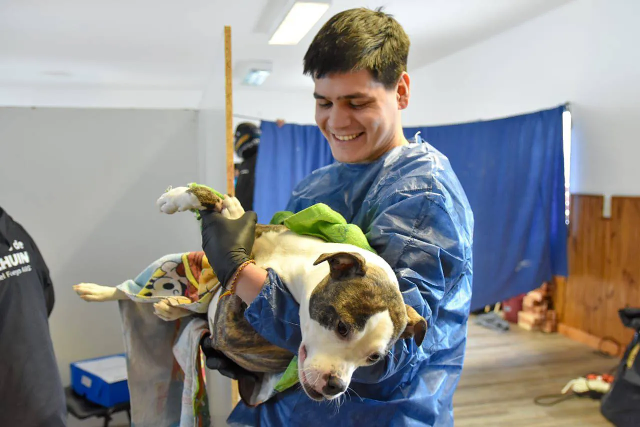 Se completó exitosamente la 1ª Campaña de Salud Pública Veterinaria en Tolhuin (1)