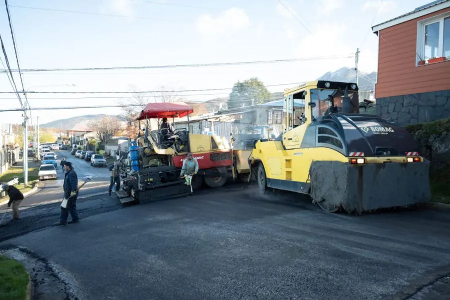 photo_4947332791033507283_y