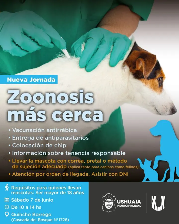 photo_5044060711579397739_y