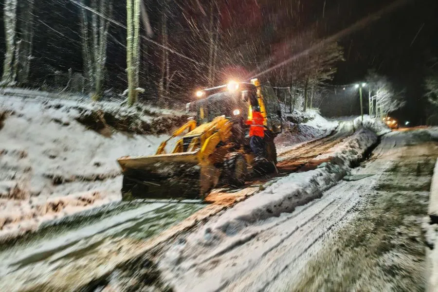 photo_5028551022032825985_y