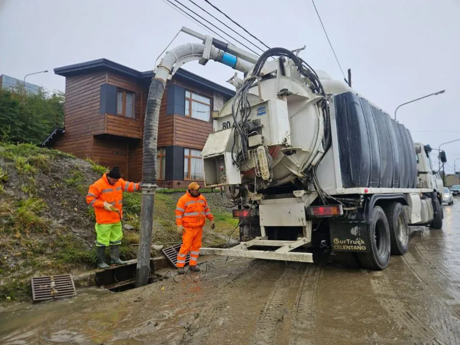 photo_4920288971112254312_y