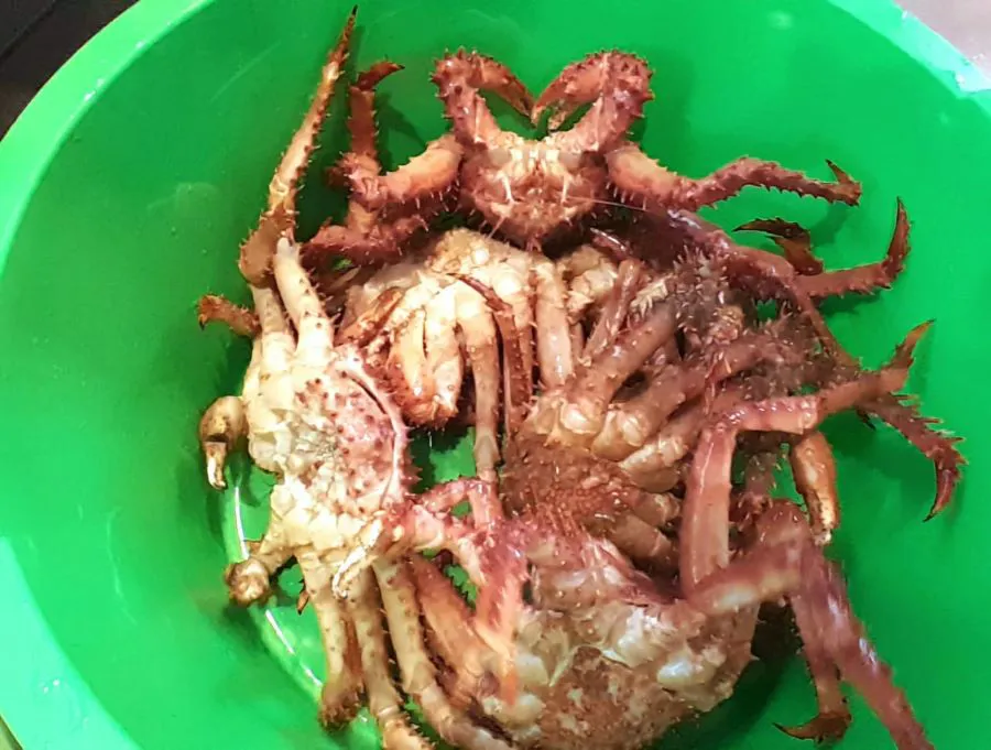 photo_5001380363133627559_y