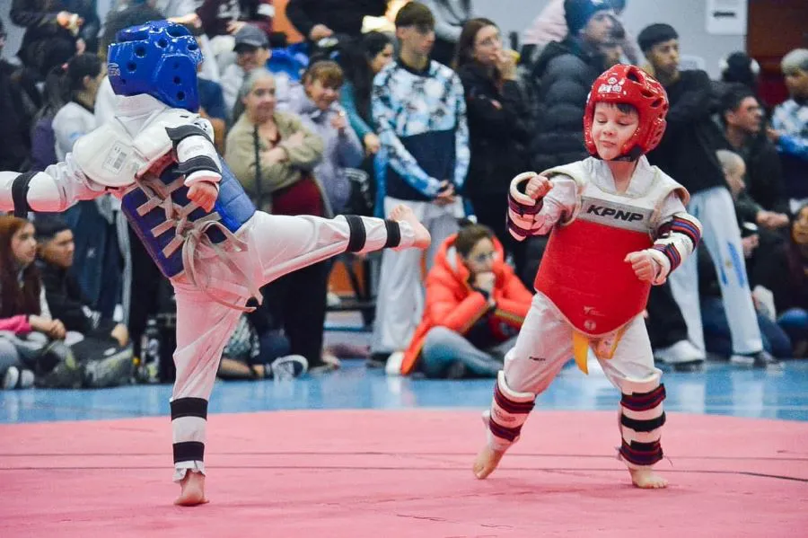 photo_5019631551780073067_y