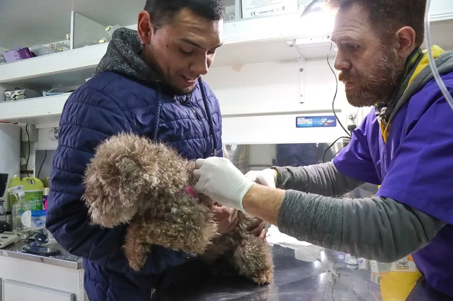 Colocaron la vacuna antirrábica a unos 60 perros de la ciudad de Tolhuin