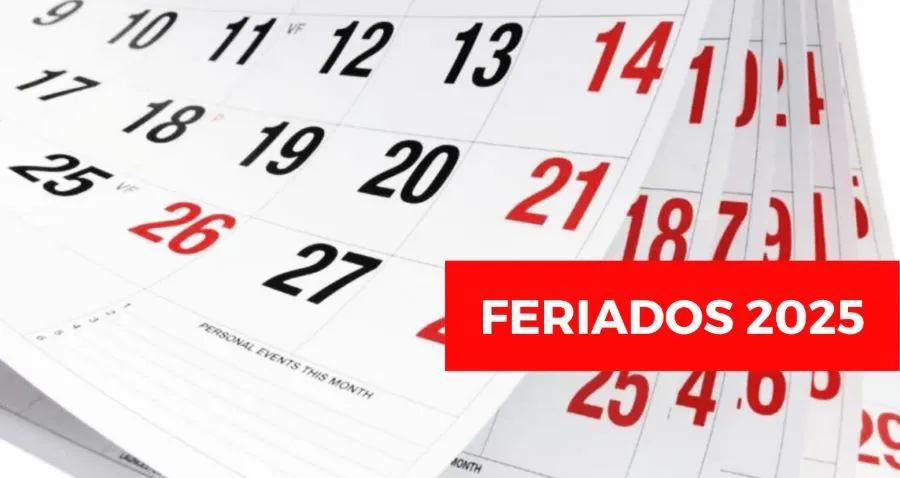 Imagen de WhatsApp 2025-10-05 a las 22.43.59_94eb93d3