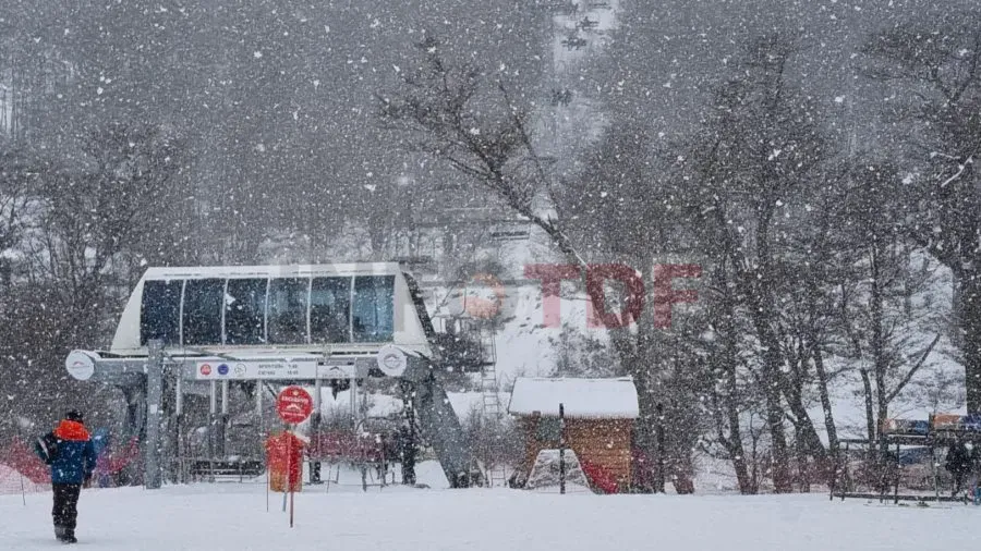 WhatsApp Image 2025-04-15 at 15.19