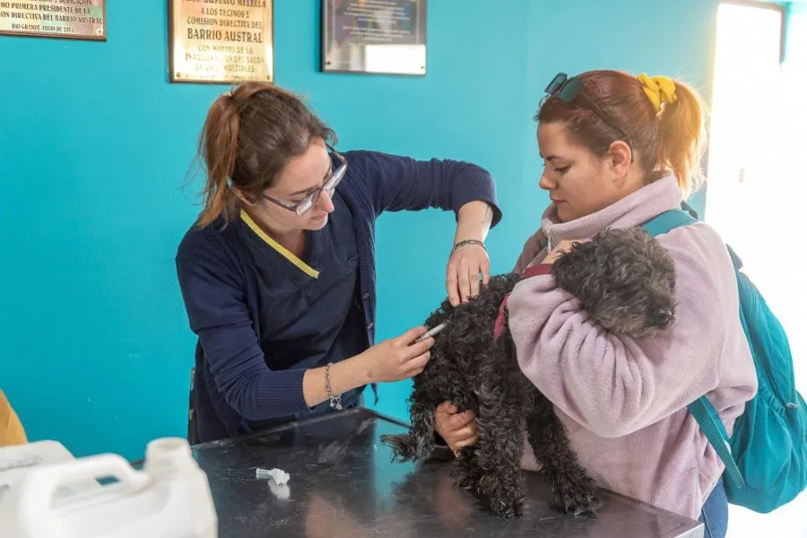 photo_5039990740440165965_y