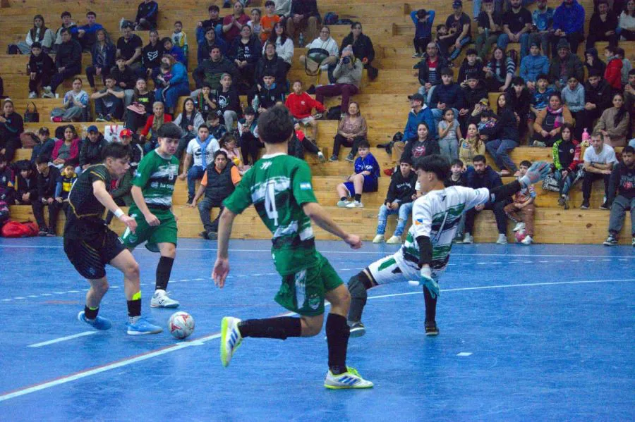 photo_5008534833755959990_y