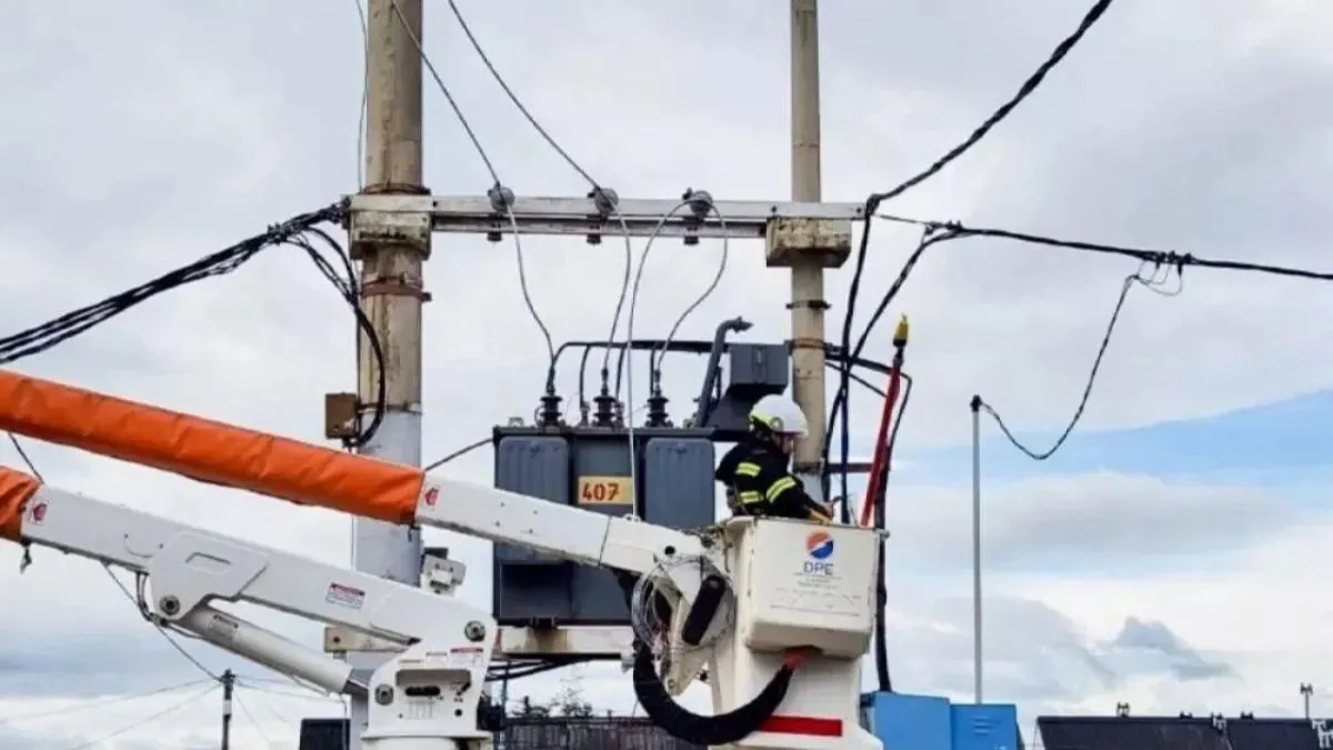 WhatsApp Image 2024-09-17 at 12.55.41