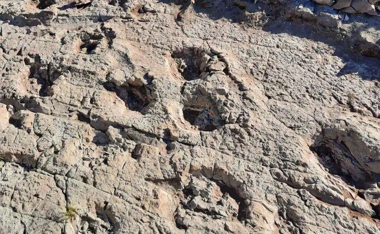 Inauguraron un parque en Malargüe donde se pueden ver huellas de dinosaurios (2)