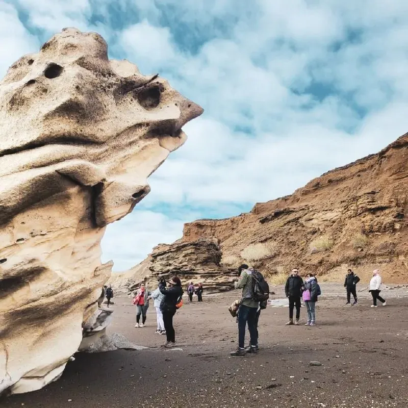 WhatsApp Image 2026-01-17 at 11.15.01