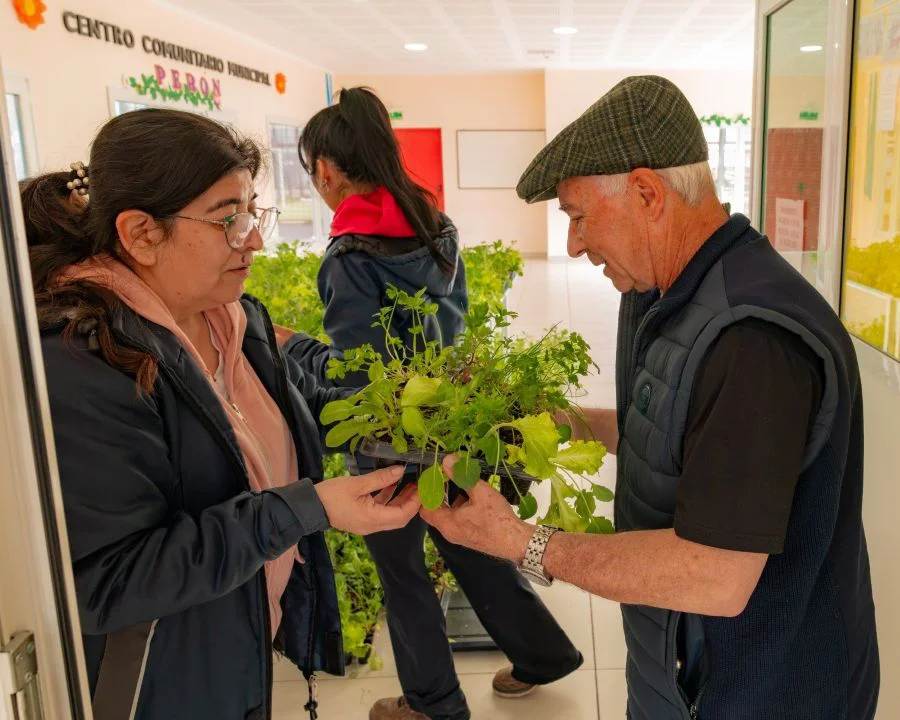 Se entregarán más de 50 mil plantines del programa ‘Soberanía Alimentaria en Casa’