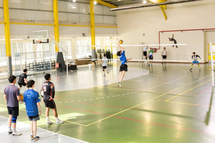 photo_4967581461598898961_y