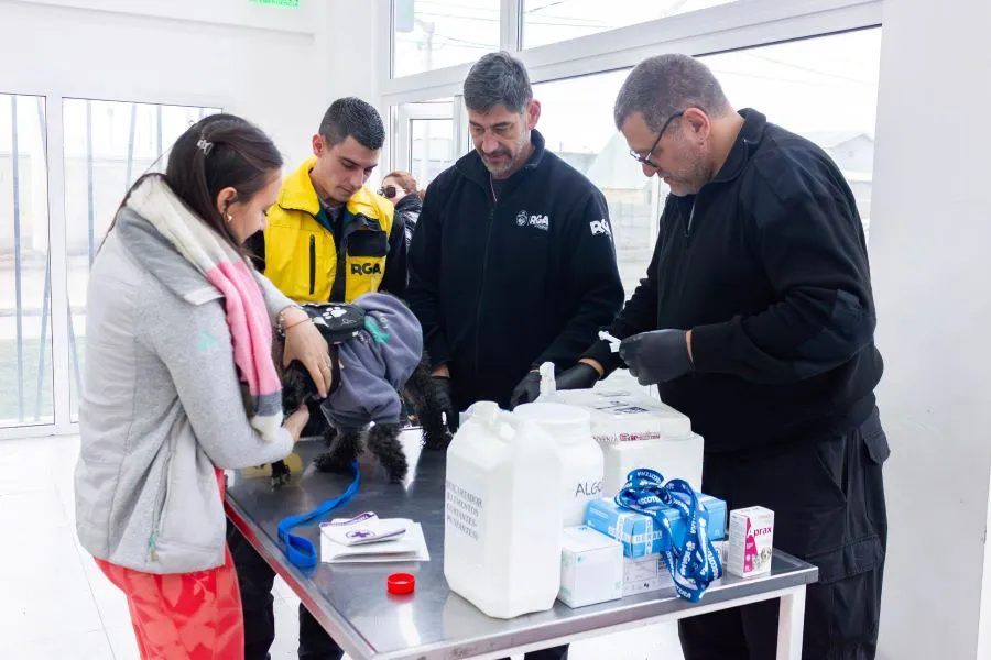 photo_5168118720210513526_w