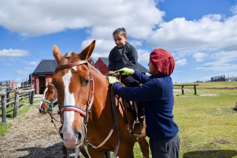 photo_4942991137446759274_y