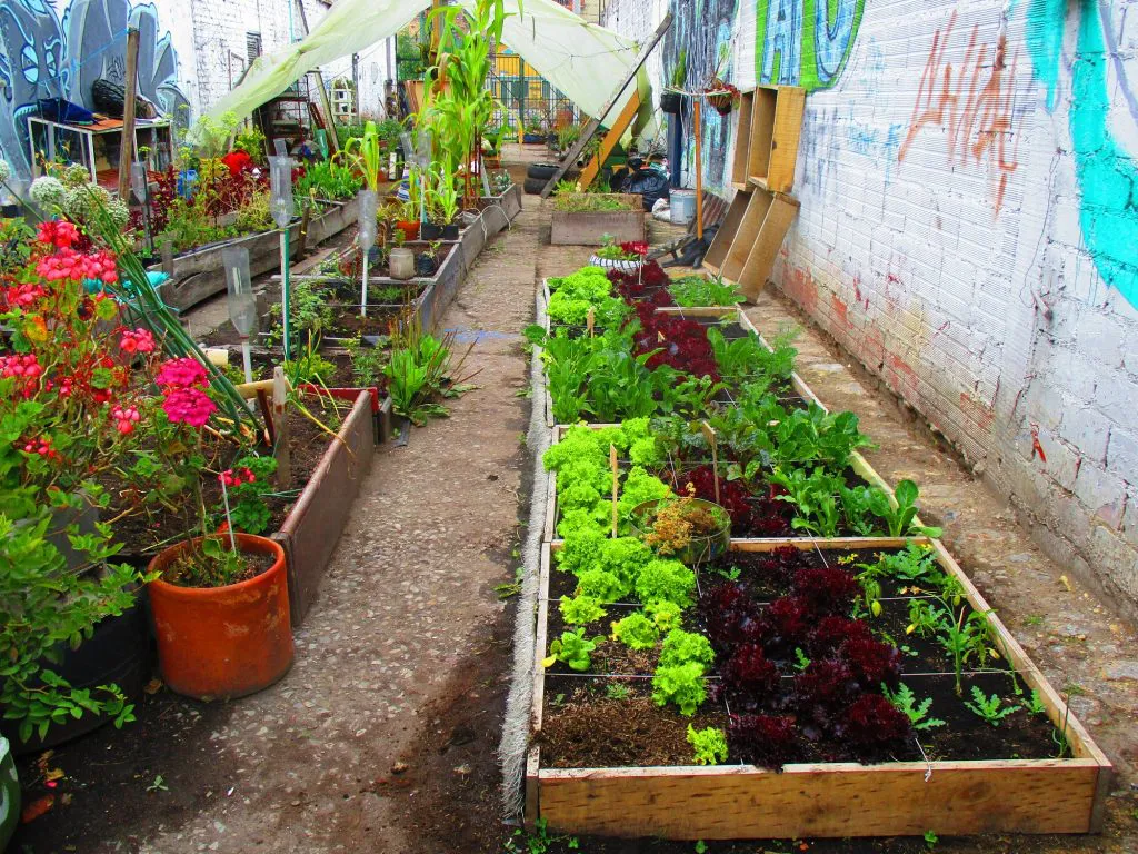 Comienzan las diversas actividades vinculadas a la temporada de huerta en Tolhuin