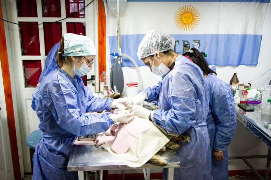 photo_4927389965096782689_y