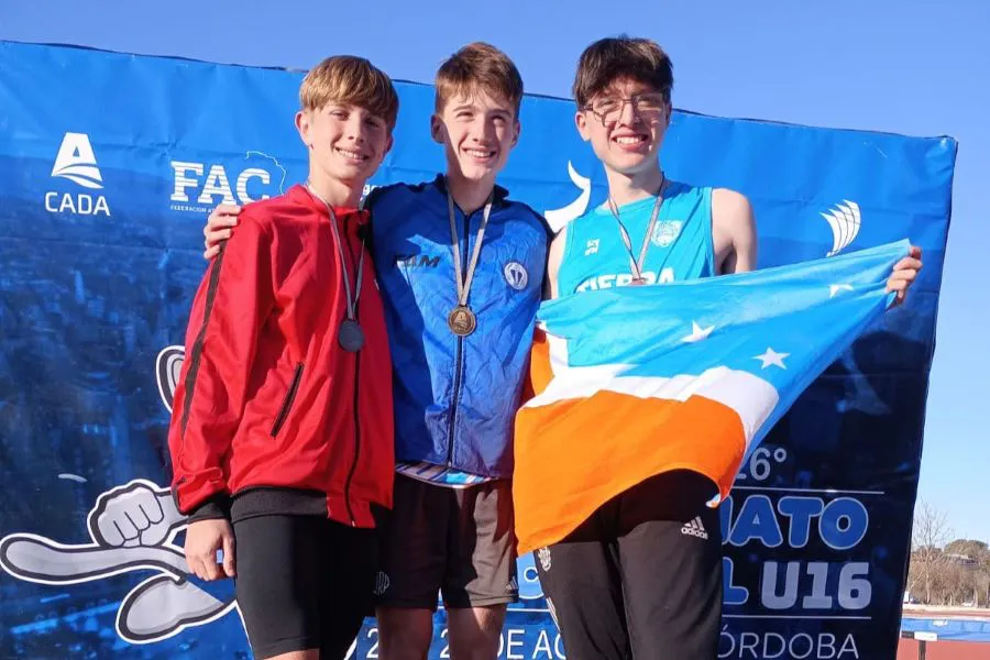 photo_5008534833755960016_y