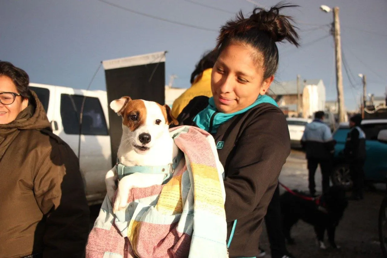 Se lleva adelante una nueva jornada de castración de perros en Río Grande