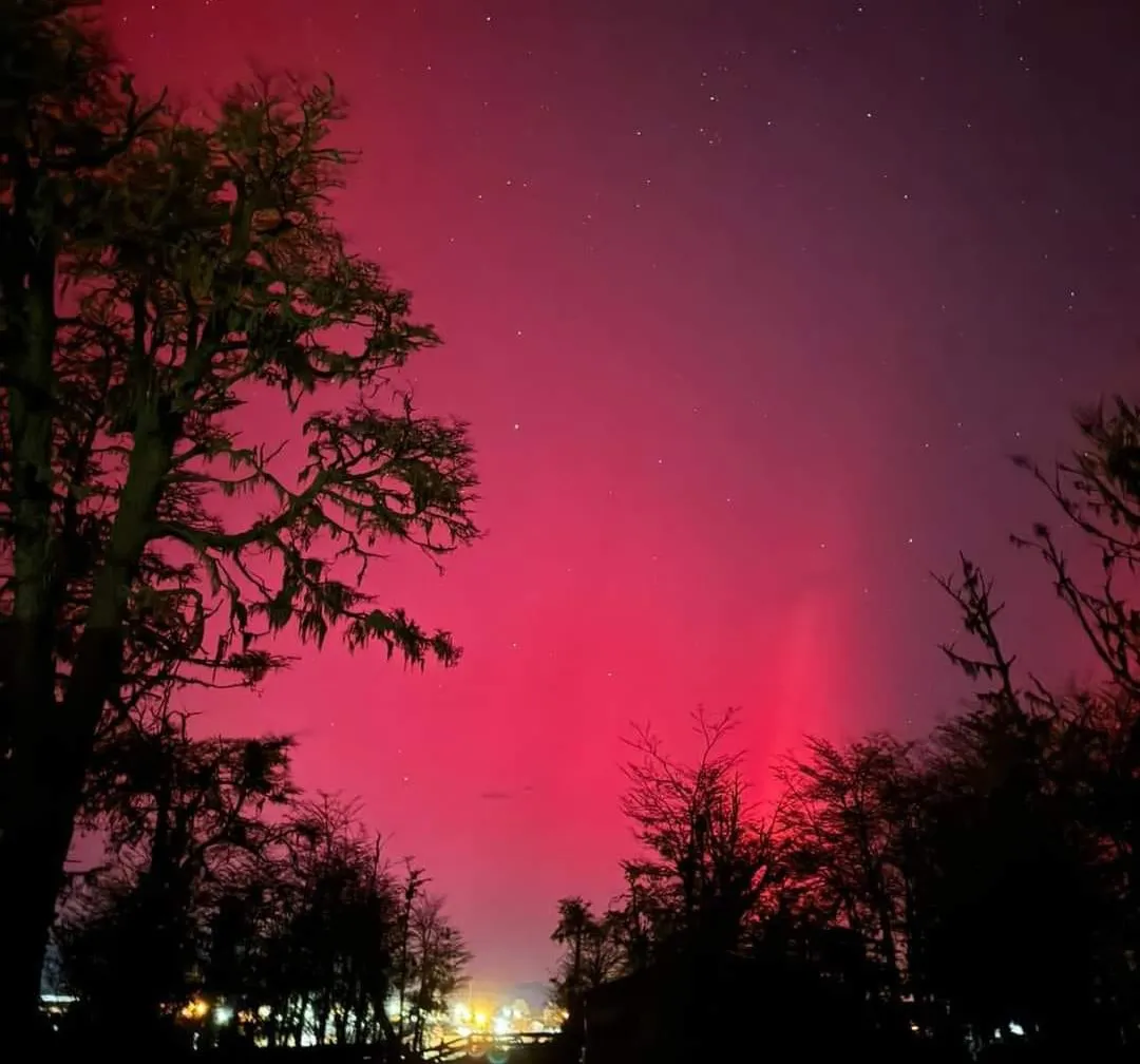 Gran espectáculo de colores en el cielo de Ushuaia y Tolhuin con la “Aurora Austral” (0)