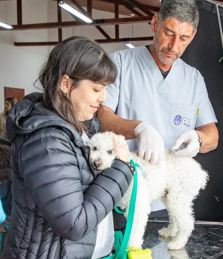Se concretó en Río Grande una nueva jornada de vacunación y chipeo de mascotas