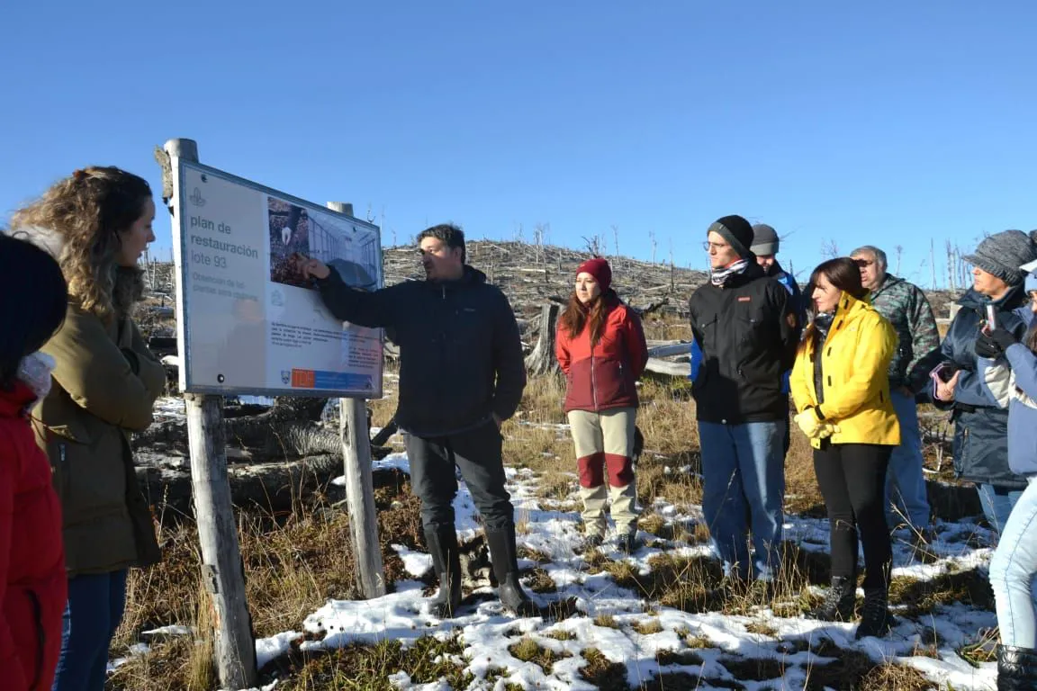 Inició la temporada de reforestación del bosque nativo en cercanías de Tolhuin 1