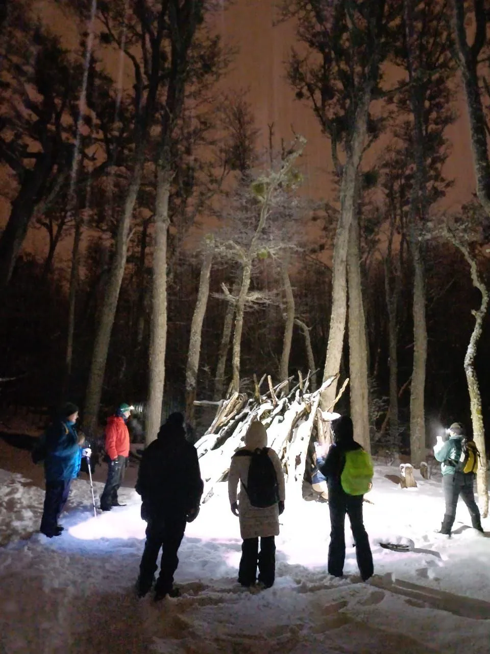 Se organizó una caminata nocturna por el cierre de los talleres de invierno en Ushuaia  (2)