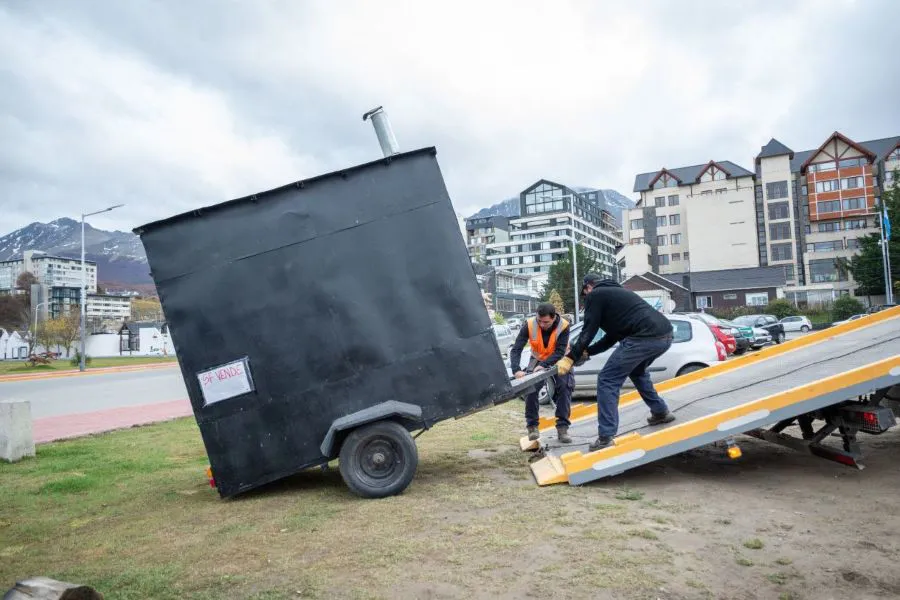 photo_4900470862428352164_y