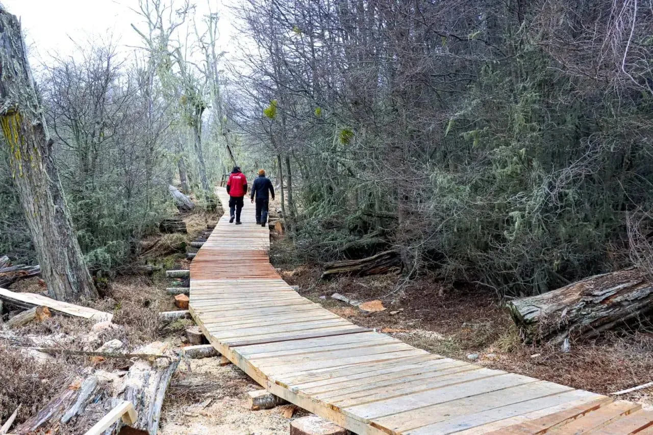 WhatsApp Image 2025-05-14 at 10.36.38