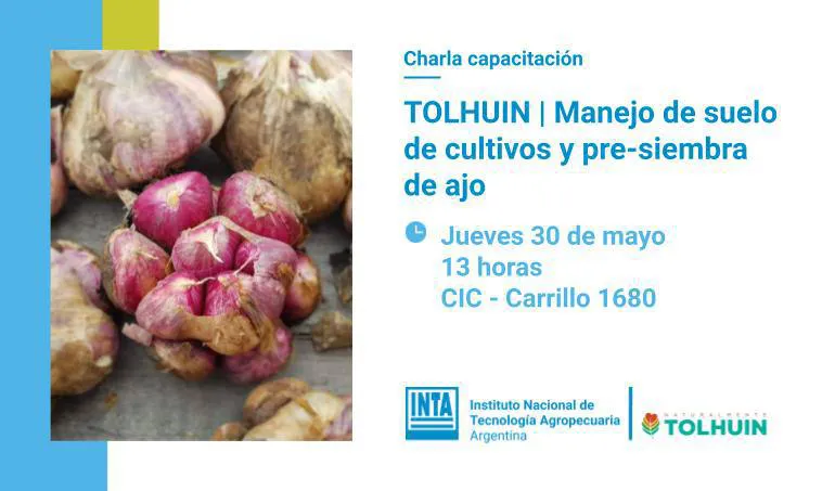 photo_5091605759027948715_x