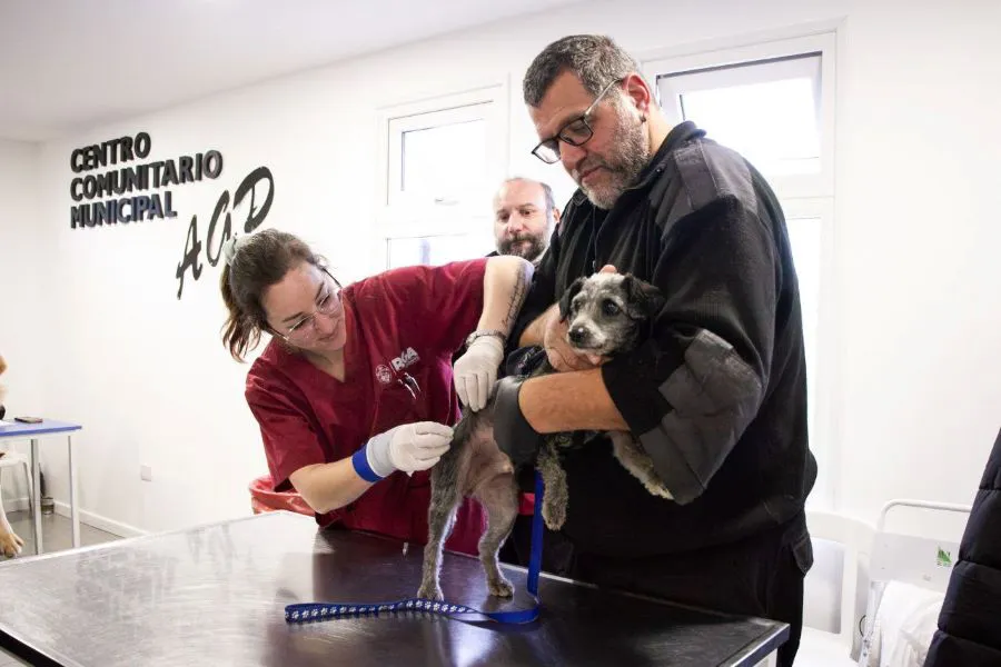 photo_4983323839584907088_y