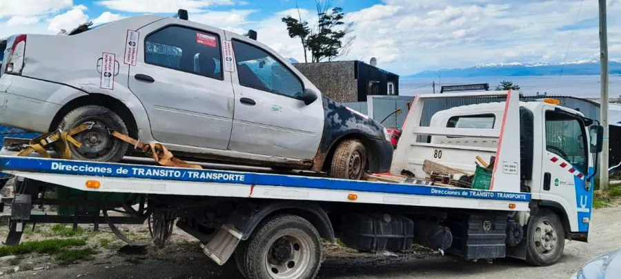 photo_4909480758926314266_y