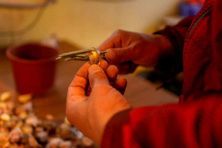 photo_4936447226486567126_y