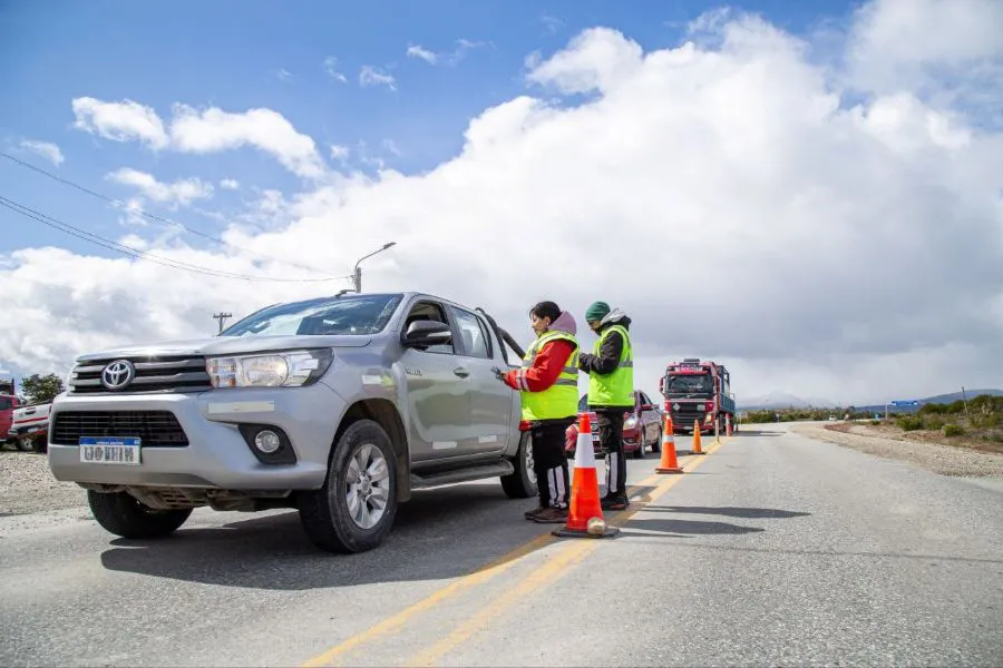 photo_4904484170067807156_y