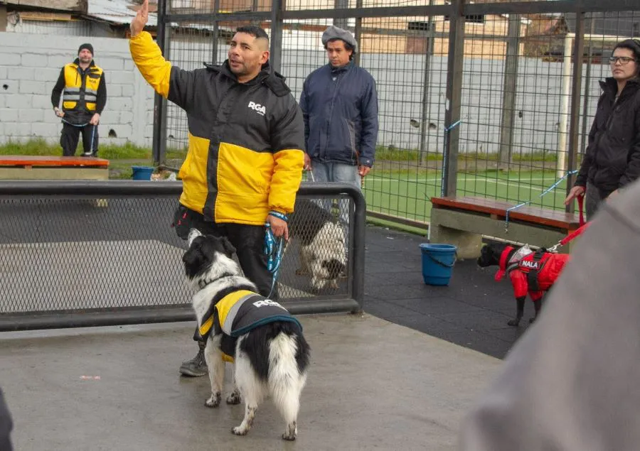 photo_5042304027005661293_w