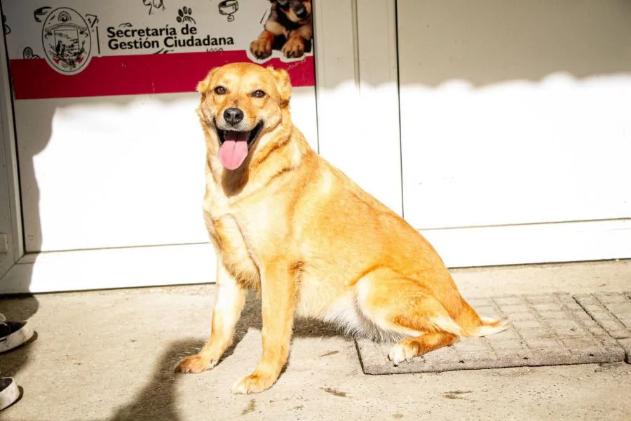 photo_5077917427676416792_y