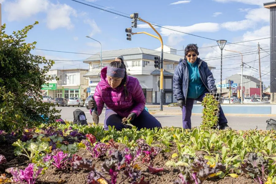 photo_4995037701463542706_y