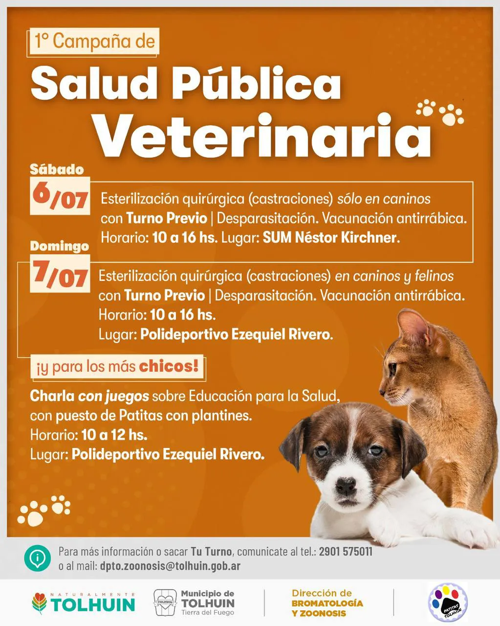 photo_4904621510233271397_y