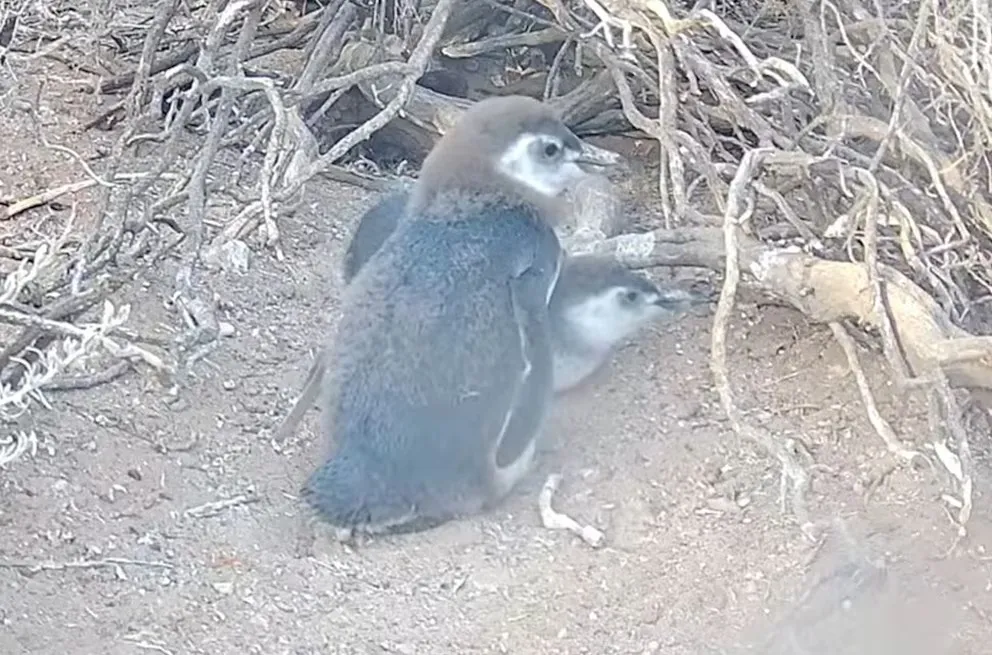 WhatsApp Image 2026-01-28 at 12.56.25