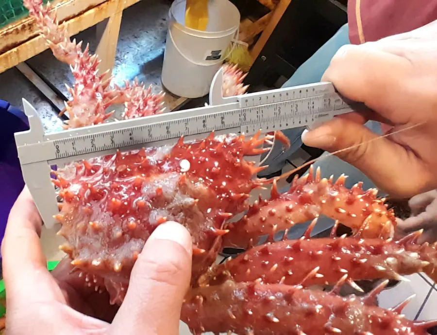 photo_5001380363133627560_y