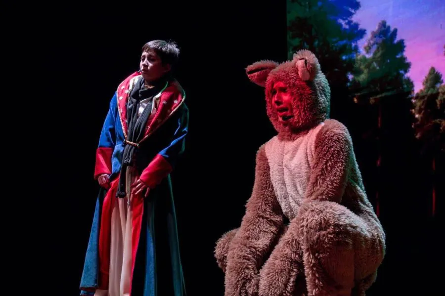 photo_4976515848269311940_y