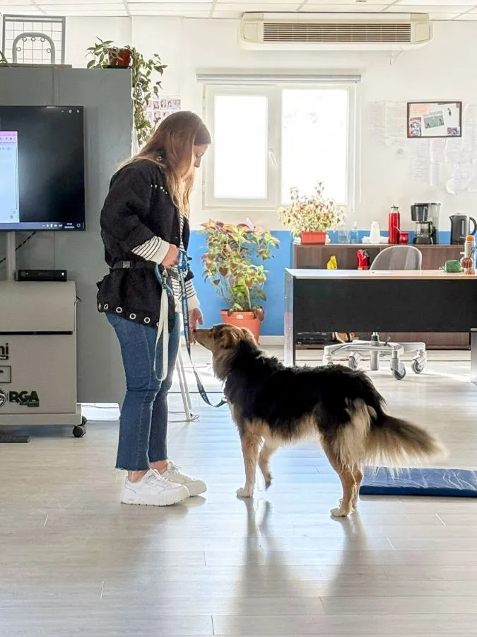 photo_5143235758461660882_y