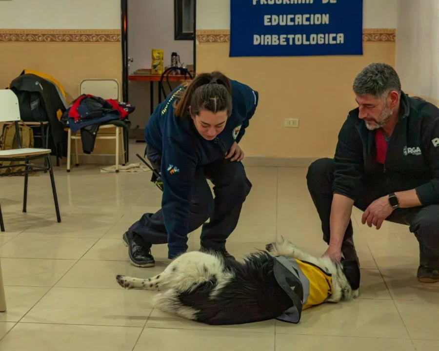 Bomberos Voluntarios fueron capacitados en primeros auxilios veterinarios