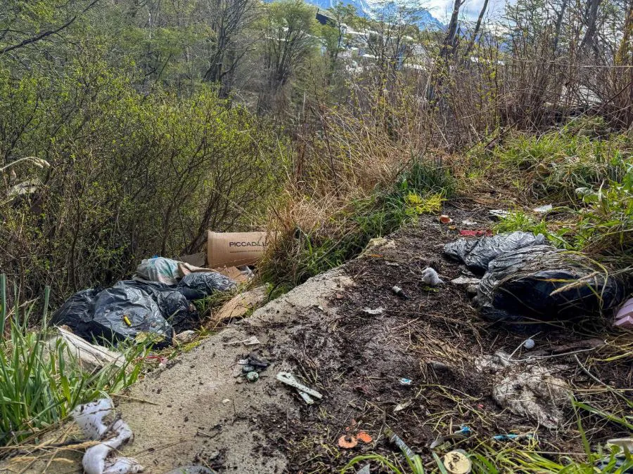 photo_5127793744718531450_y