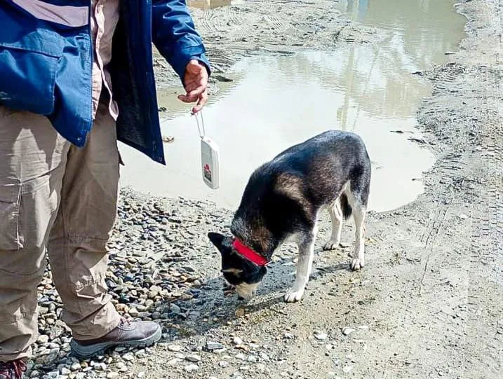 photo_4940654825561590567_x