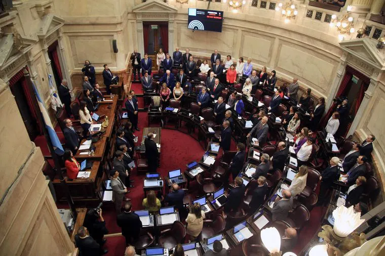 El Senado rechazó el DNU que desregula la economía lo que generó un golpe a Milei