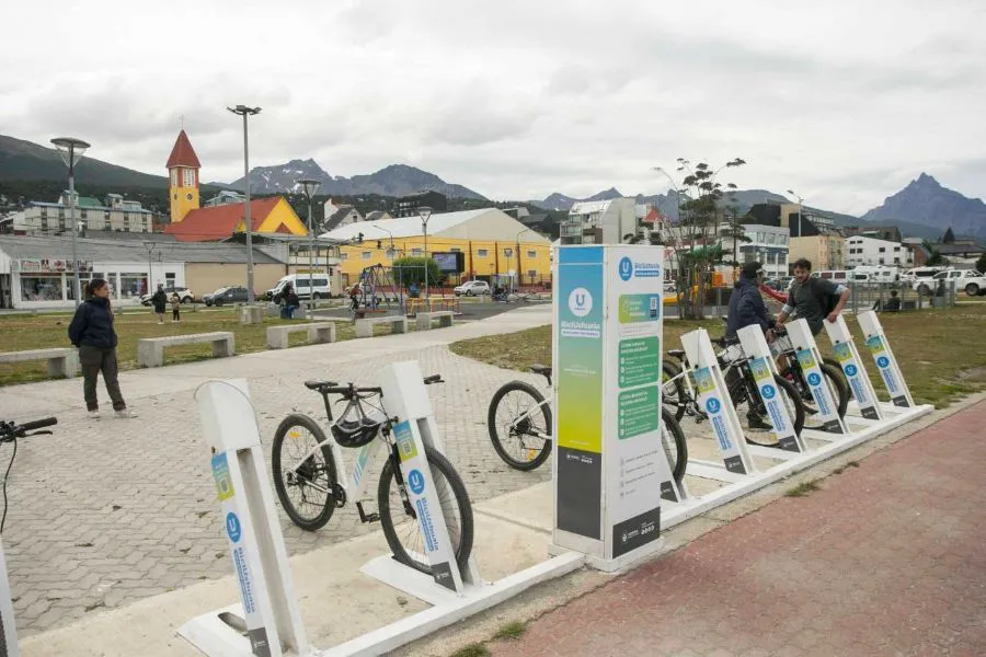 photo_4907055146077369203_y