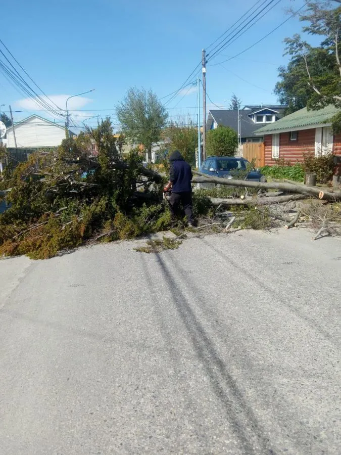 photo_4936412338470980432_y